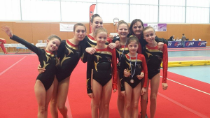 big region-GAC-2015-angers-union-sarthoise-gymnastique-lemans-1