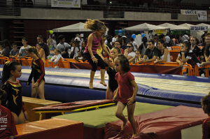 big sport-en-fete-2014-demonstration-gymnastique-union-sarthoise-lemans-antares-10   