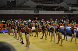 big sport-en-fete-2014-demonstration-gymnastique-union-sarthoise-lemans-antares-4   