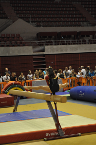 big sport-en-fete-2014-demonstration-gymnastique-union-sarthoise-lemans-antares-8   